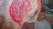 بيطري الإسماعيلية يكثف حملاته الرقابية لضمان سلامة الغذاء قبل عيد الأضحى
