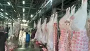 محافظ الجيزة يعلن فتح المجازر الحكومية مجاناً للمواطنين في عيد الأضحى