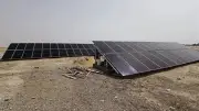 الواحات الخضراء نموذج زراعي بالطاقة الشمسية في الوادي الجديد