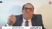 مستشار سابق بالبرلمان الأوروبي: أوروبا بعد حرب أوكرانيا لن تعود كما كانت