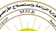 الزراعة تطمئن: انخفاض أسعار الطماطم خلال أيام والعروة الجديدة قريبًا