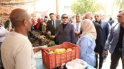 محافظ الوادي الجديد تتفقد مبادرة معًا ضد الغلاء وتوجه بتوسيع نطاقها