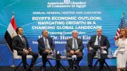نقل شركات عامة لصندوق مصر السيادي لتعظيم العوائد ورفع الكفاءة