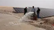 إطلاق مشروع الواحات الخضراء بالطاقة الشمسية في الوادي الجديد