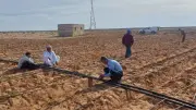 بحوث الصحراء ينفذ حقولاً إرشادية في مطروح لمواجهة التغيرات المناخية