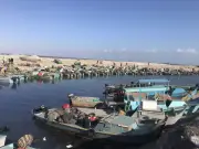 انطلاق موسم الصيد ببحيرة البردويل بعد تطوير شامل لدعم الثروة السمكية