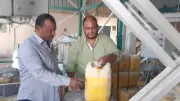 ضبط نصف طن زيت طعام غير صالح للاستهلاك في حملة تموينية بالأقصر