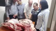 ضبط طن لحوم ودواجن فاسدة في حملات تموينية بالغربية