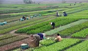 اليوم العالمي للتنوع البيولوجي: دعوة عاجلة لحماية توازن الحياة على الأرض