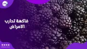 التوت الأسود فاكهة خارقة تمنع تحول الأورام لسرطان وتحارب الأمراض