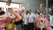 محافظ القليوبية يعلن فتح مجزر غرب شبرا الخيمة بالمجان طوال عيد الأضحى