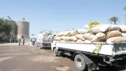 تموين بني سويف: وقف توريد القمح في أول أيام عيد الأضحى فقط