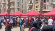 الإسكندرية توسع أسواق اليوم الواحد استعدادًا لعيد الأضحى