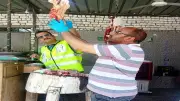 حملات بيطرية مكثفة في أسوان لضمان جودة اللحوم قبل عيد الأضحى