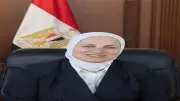 تعليم القاهرة: تجميع نتيجة الابتدائية والإعدادية تمهيداً للإعلان