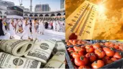 انخفاض أسعار الطماطم والدواجن والبيض قبل عيد الأضحى والصحة تحذر من مخاطر اللحوم