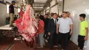 وزير الزراعة يوجه بتكثيف تواجد الأطباء البيطريين بالمجازر في عيد الأضحى