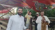 روشتة من الزراعة لاختيار أضحية العيد: علامات السلامة وطرق كشف الغش