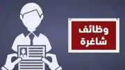 وظائف خالية في بنك مصر للتسويق الاستثماري.. شروط سهلة وقدم الآن