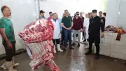 محافظ الجيزة يتفقد مجزري المنيب والوراق استعدادًا لعيد الأضحى