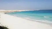 نائب: الساحل الشمالي أصبح مركزًا اقتصاديًا عالميًا بفضل المشروعات القومية