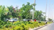 حدائق الحيوان والطيور والأسماك تستعد للعيد بخطة متكاملة لمواجهة الزحام