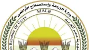 حصاد ذبح الأضاحي بالمجان في أول أيام عيد الأضحى
