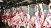 الزراعة تعلن حالة الطوارئ القصوى أيام عيد الأضحى وتشدد الرقابة على الأسواق