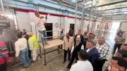 محافظ الوادي الجديد تتابع ذبح أضاحي التضامن وتوزيعها على الأسر والعمال