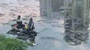 مأساة في الدقهلية: مصرع شقيقين أثناء توزيع لحوم الأضاحي