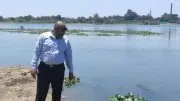 حملات مكثفة لزراعة المنوفية لمتابعة حماية الأراضي والزراعات الصيفية