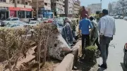 محافظ الجيزة يوجه بتطوير كوبري والي بالمنيب وتحسين النظافة والإنارة