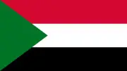 الجيش السوداني يسقط مسيرة معادية في شمال كردفان