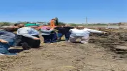 رئيس التعاون الزراعي يوجه بسرعة الانتهاء من تطهير المساقي والمصارف بالدقهلية