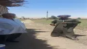 محافظ سوهاج يوجه بحملات بيطرية وندوات توعوية لمواجهة الكلاب الضالة