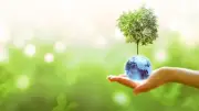 اتحاد التأمين المصرية: الموارد البشرية تقود تطبيق الاستدامة ومعايير ESG