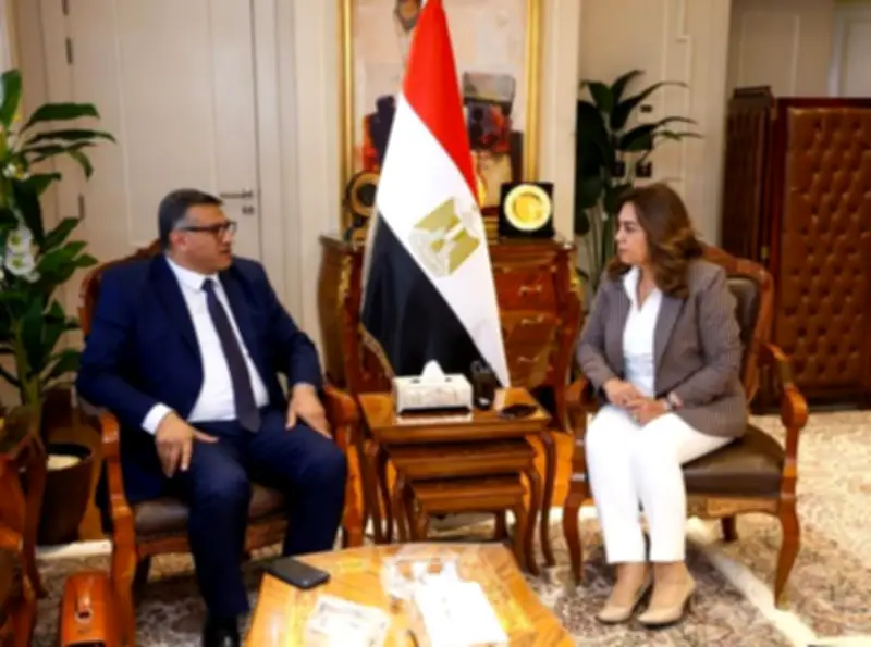 التنمية المحلية في قنا: إنجاز أكثر من 1000 مشروع بحياة كريمة