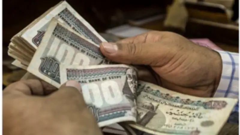 توزيع 106 آلاف بطاقة تكافل وكرامة جديدة على المستفيدين في الدقهلية
