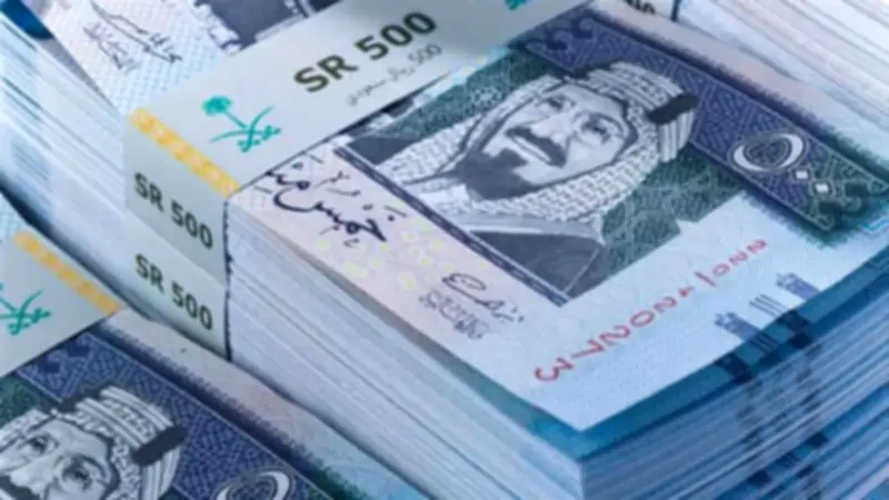 سعر الريال السعودي مقابل الجنيه المصري اليوم الخميس 11 يونيو 2026