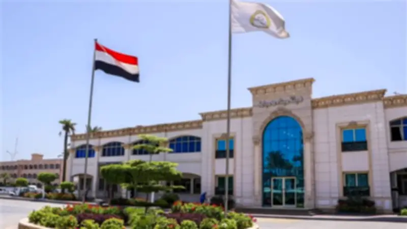 ميناء دمياط يستقبل 12 سفينة جديدة ويواصل نشاطه الملاحي المكثف