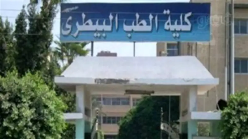 13 تخصصًا في الطب البيطري مطلوبة لطلاب الثانوية العامة