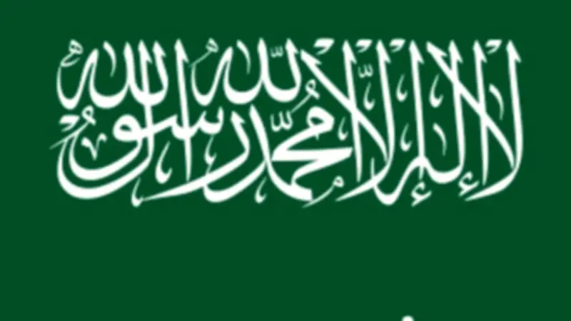 السعودية تدعم قطاع الطاقة اليمني بمشتقات نفطية بقيمة 150 مليون دولار