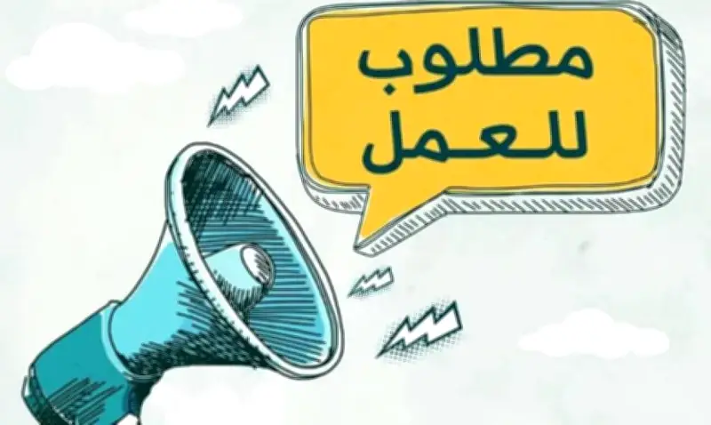 الحكومة تعلن توفير 1590 فرصة عمل برواتب تصل إلى 16 ألف جنيه والتقديم من المنزل