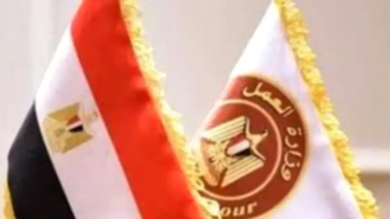 فرص عمل جديدة برواتب تصل إلى 18 ألف جنيه في 6 أكتوبر والعين السخنة