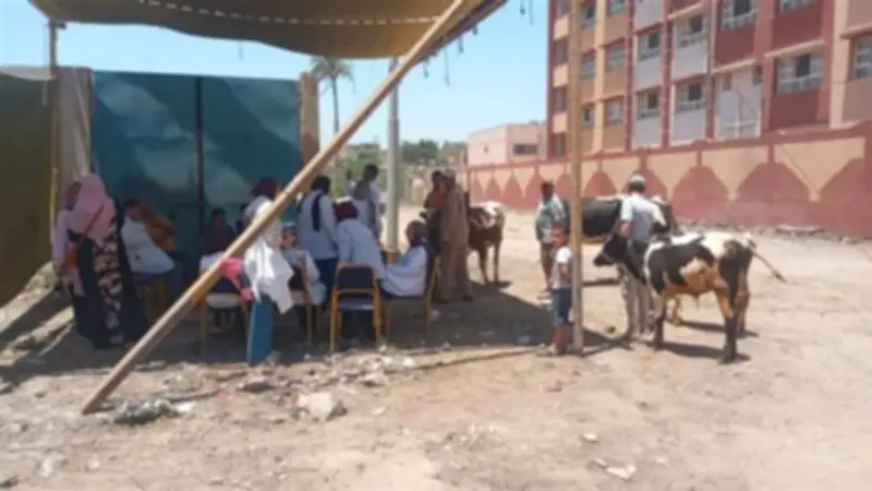 قافلة بيطرية مجانية تعالج 200 رأس أغنام في قرية محل بشر بالبحيرة