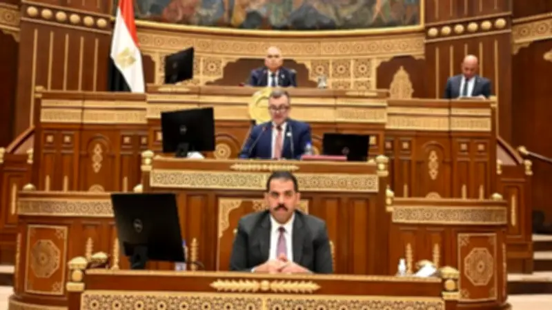 رئيس برلمانية حماة الوطن بالشيوخ يوافق على خطة التنمية 2026/2027
