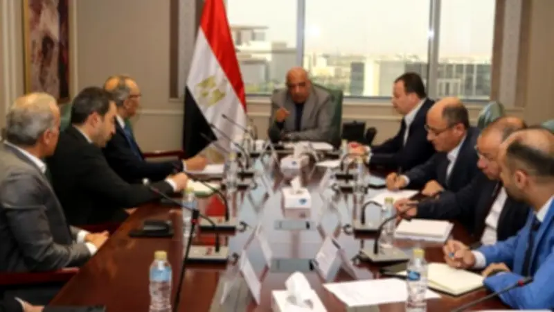وزير الكهرباء ومدير جهاز مستقبل مصر يبحثان مشروعات طاقة شمسية بـ2320 ميجاوات