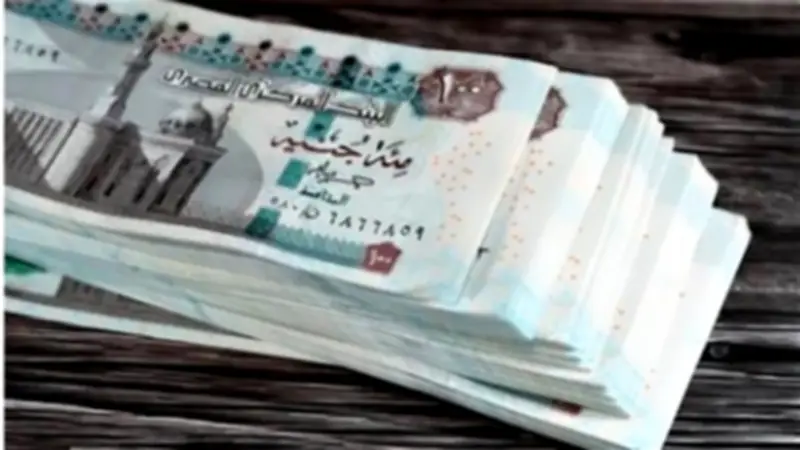 238 مليار جنيه سنويًا لأصحاب المعاشات لمدة 50 عامًا.. والتنفيذ يوليو 2026
