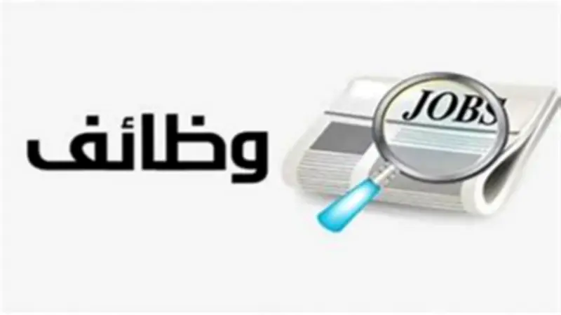 وزارة العمل توفر 240 وظيفة بالشرقية برواتب مجزية.. الشروط وطريقة التقديم