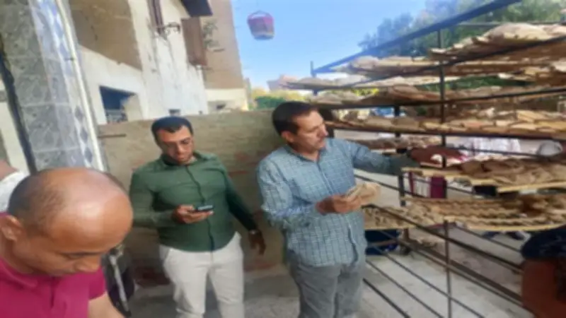 تحرير 297 مخالفة تموينية بحملات مكثفة على مخابز وأسواق المنيا